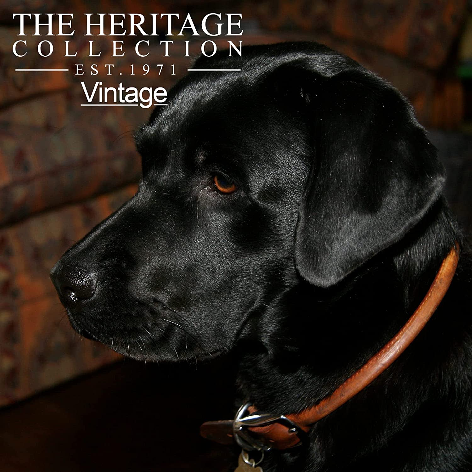 Rounded Leather Dog Collar - Brown