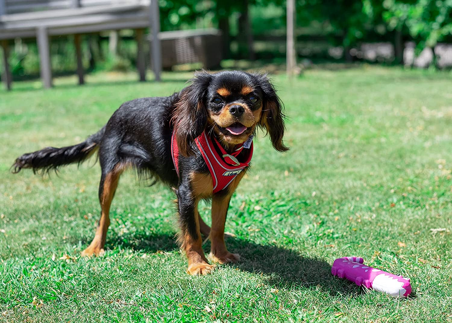 Mesh Dog Harness - Red