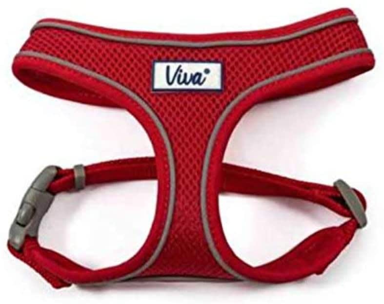 Mesh Dog Harness - Red
