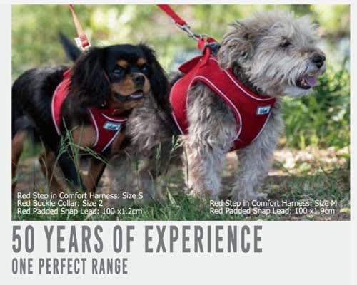 Mesh Dog Harness - Red