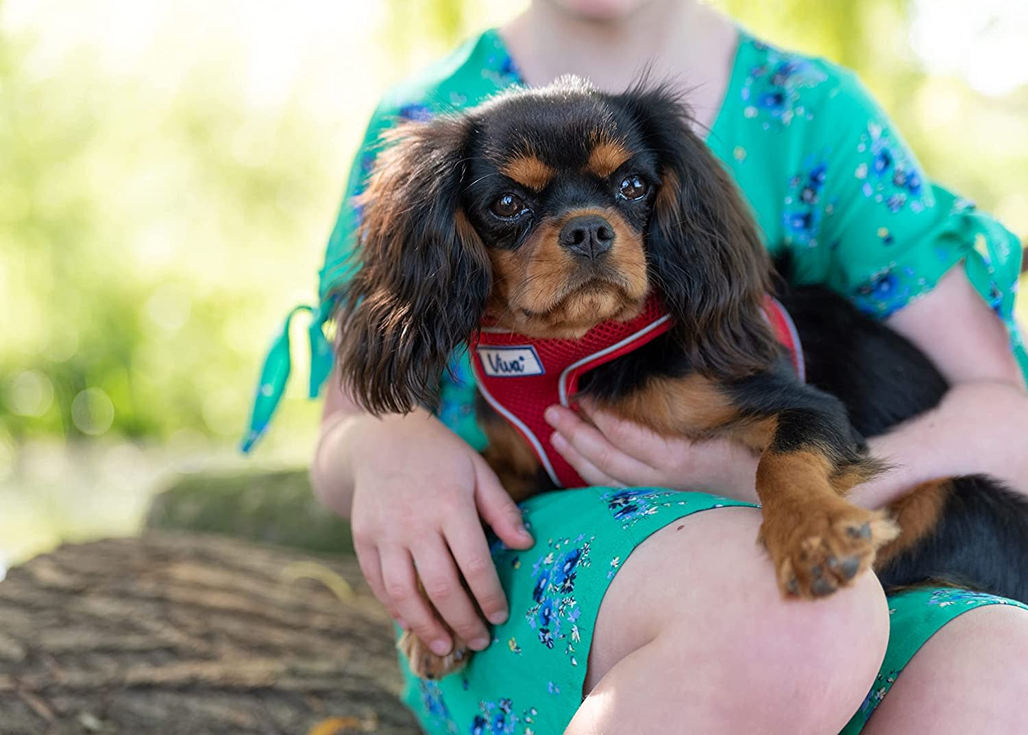 Mesh Dog Harness - Red