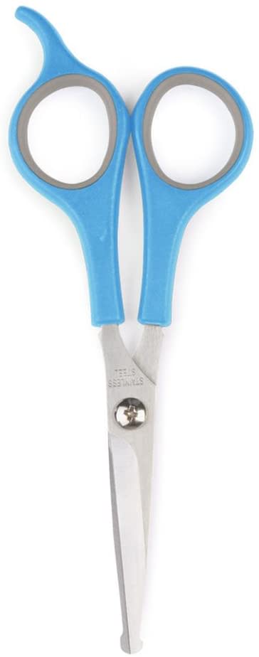 Safety Dog Scissors - Blue