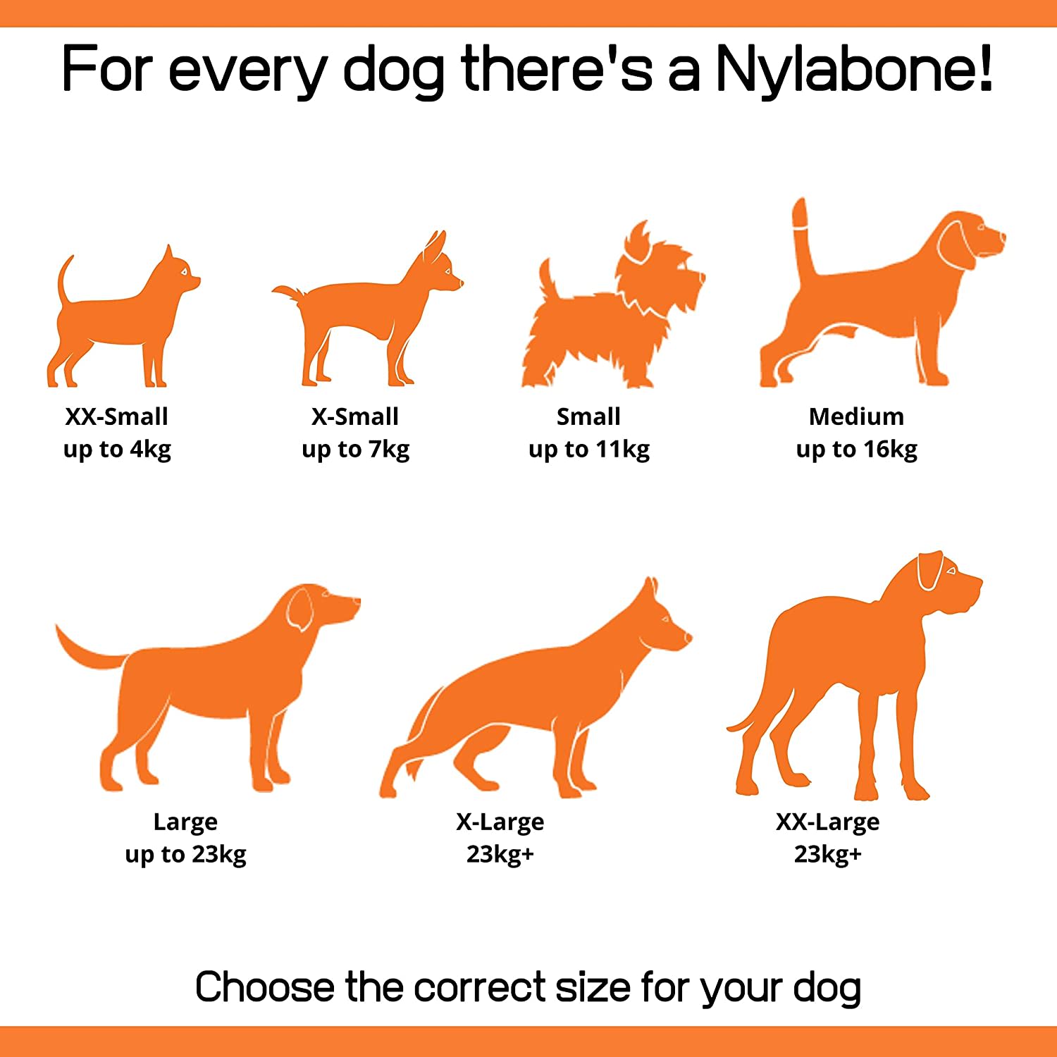 Nylabone Original Bone Dog Toy
