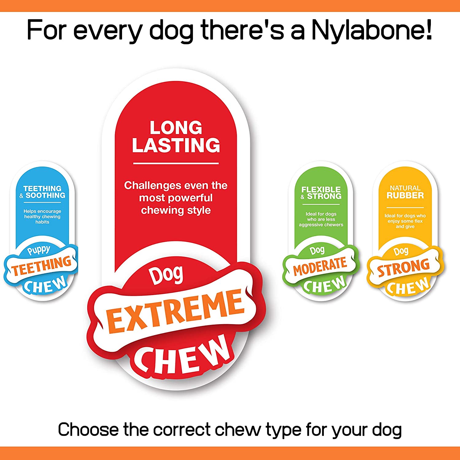 Nylabone Original Bone Dog Toy