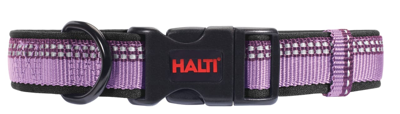 HALTI Dog Collar Purple