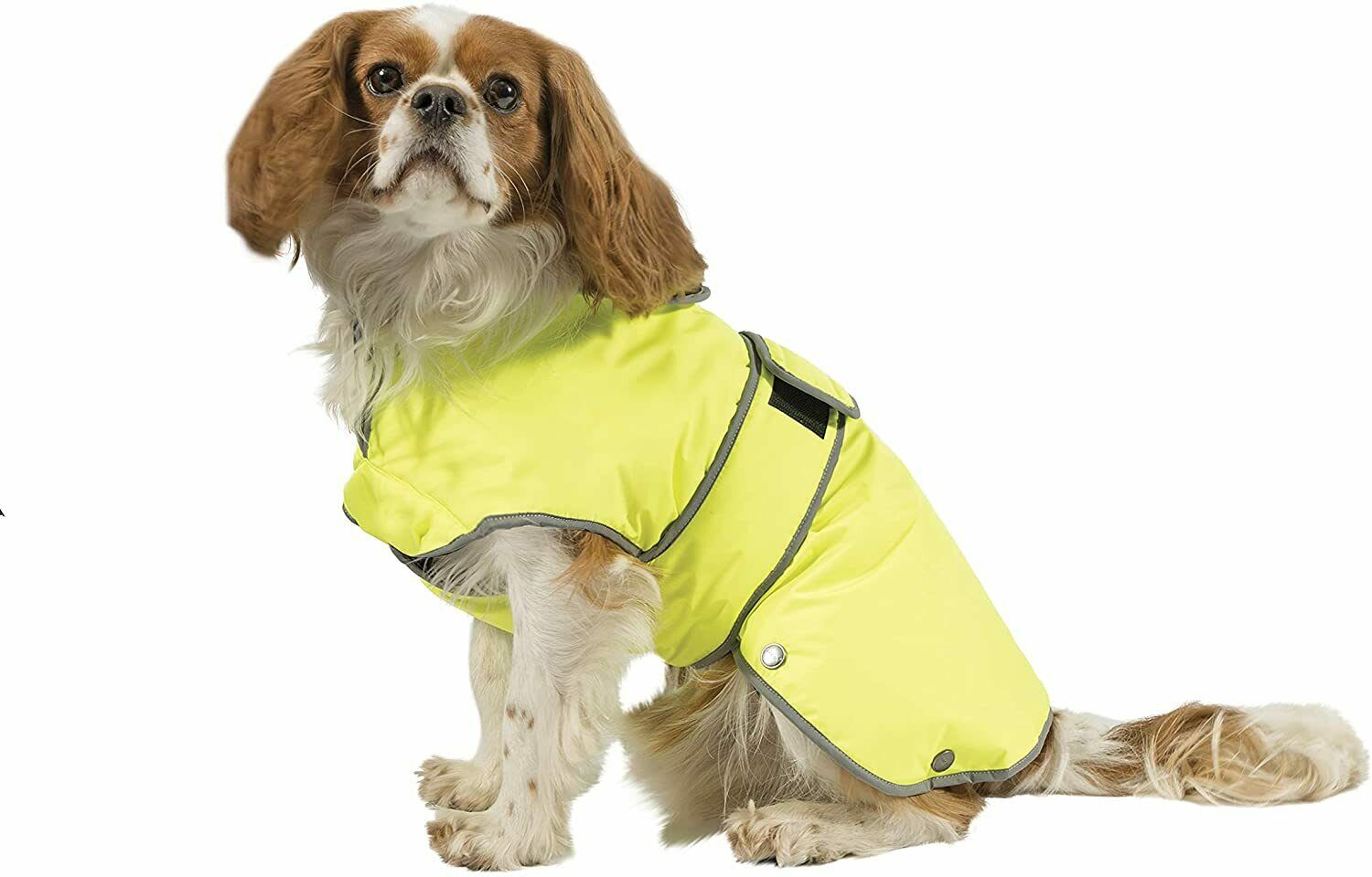 High Visibility Reflective Dog Coat Stormguard
