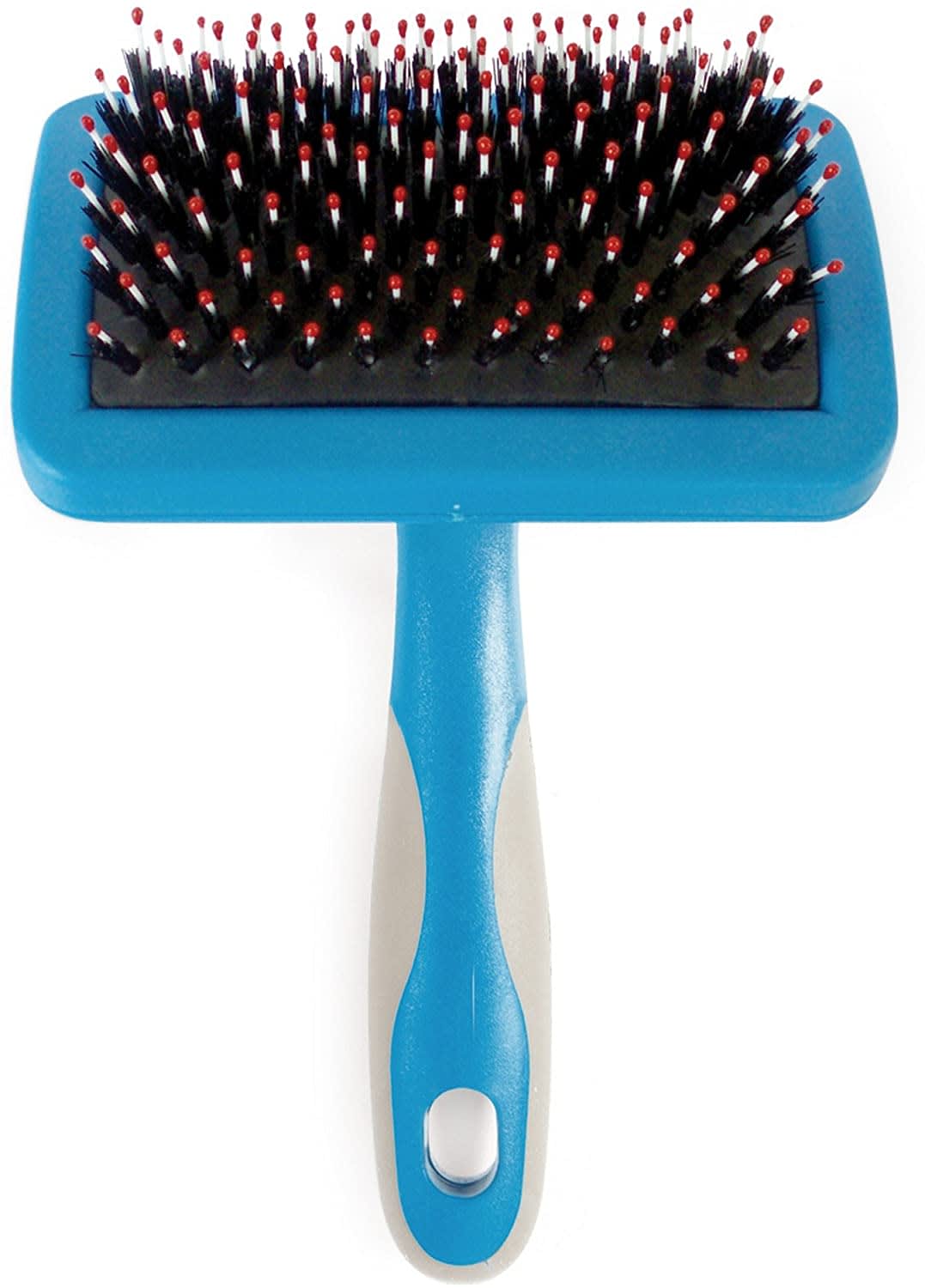 Hedgehog Slicker Brush - Blue