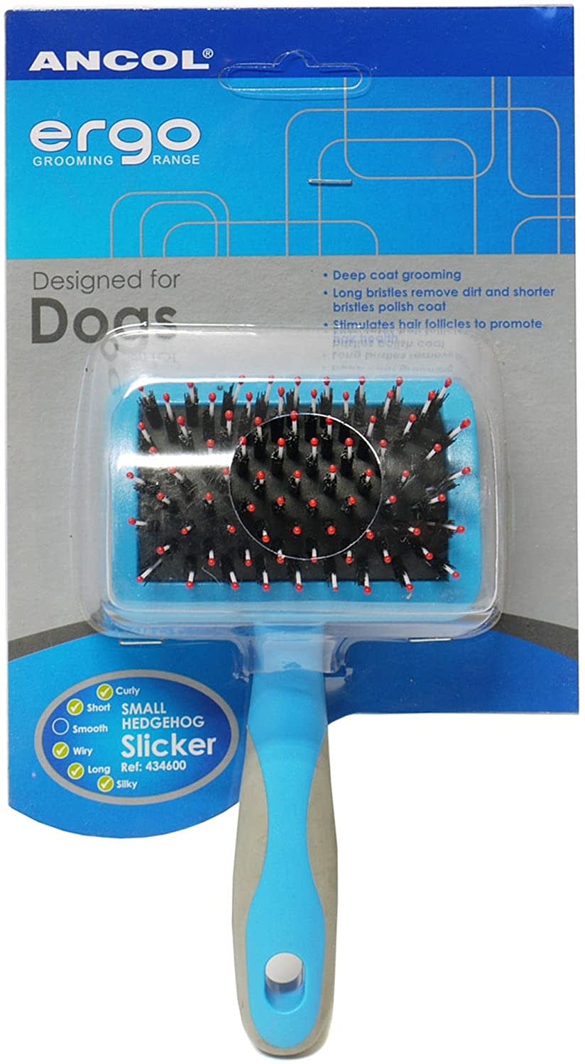 Hedgehog Slicker Brush - Blue