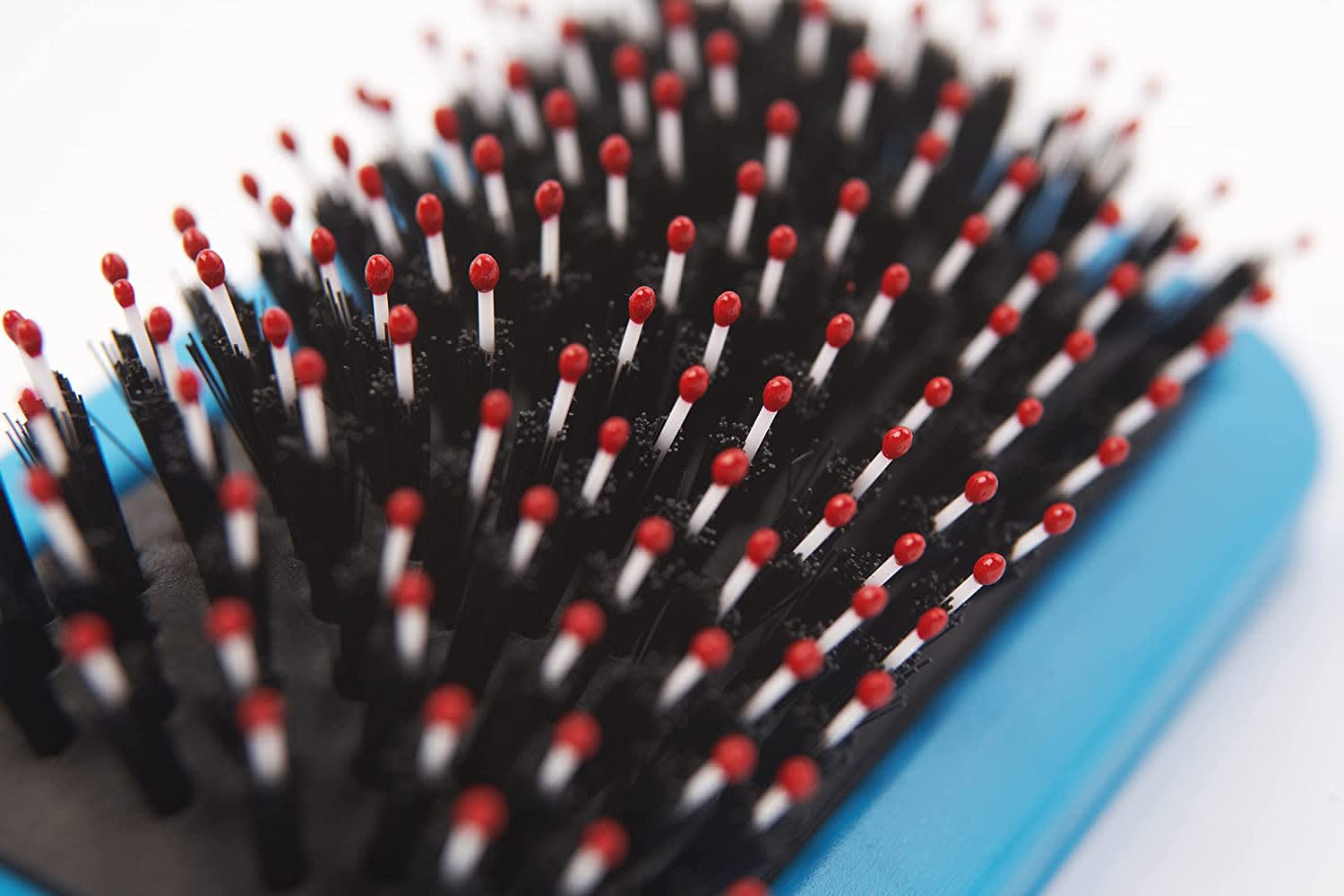 Hedgehog Slicker Brush - Blue