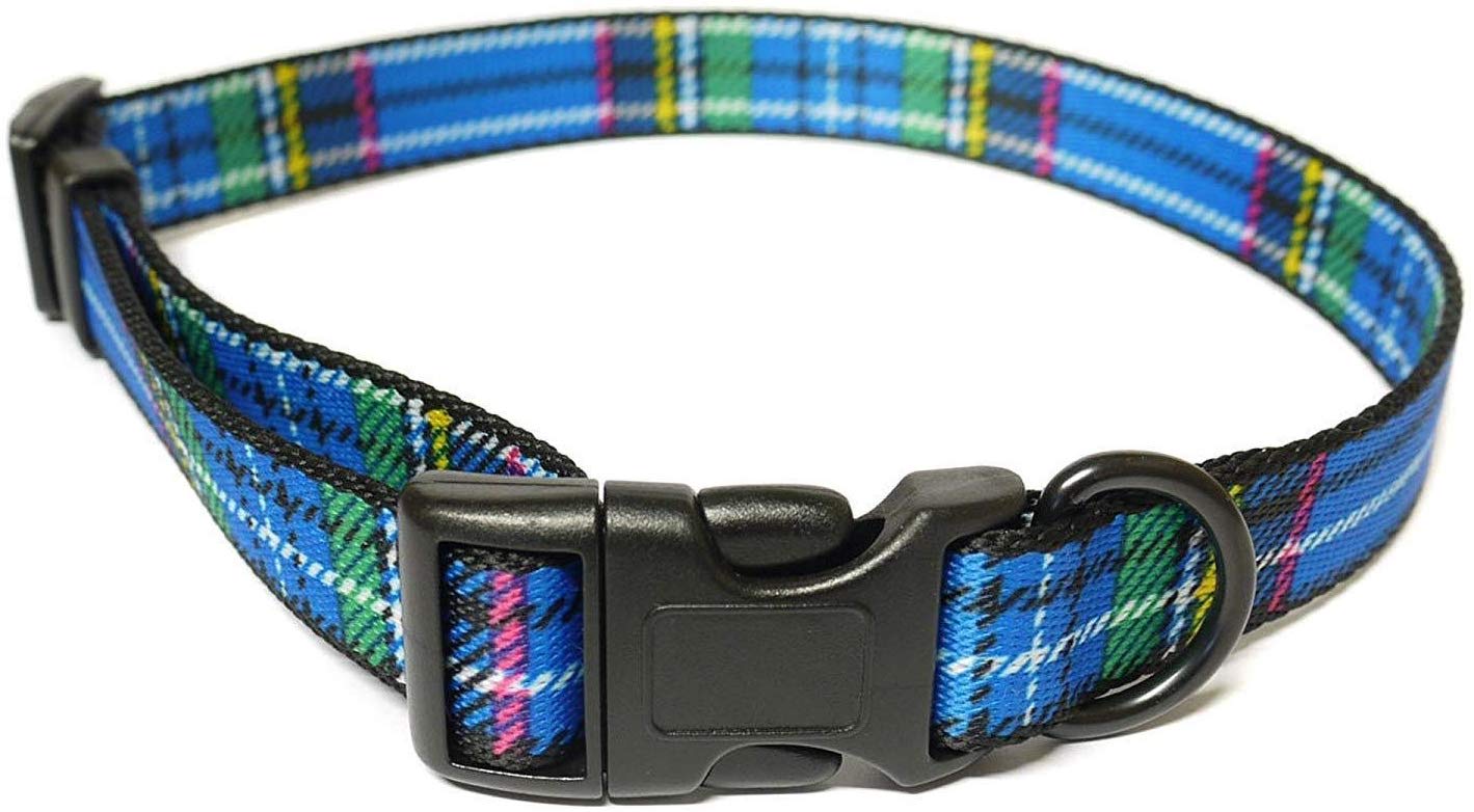 Tartan Blue Dog Collar