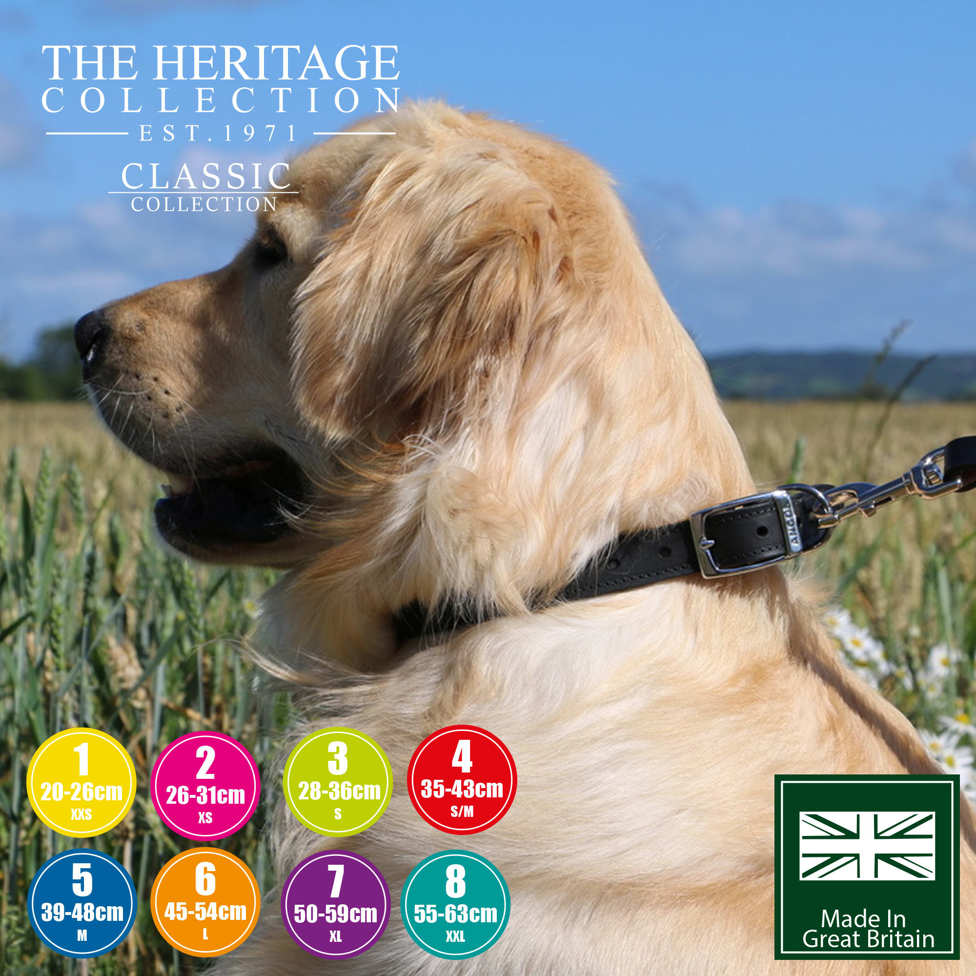 Leather Dog Collar - Black3