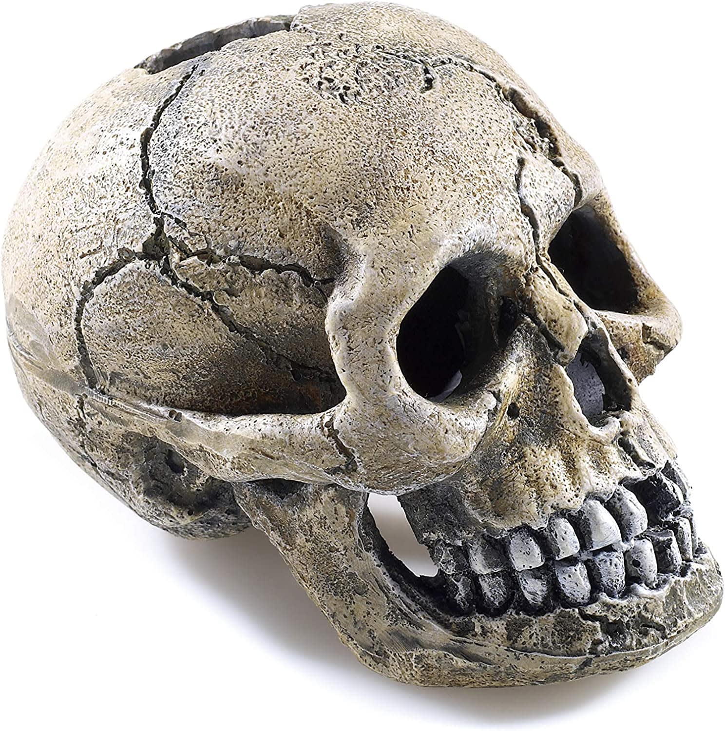 Spooky Skull Aquarium Decoration