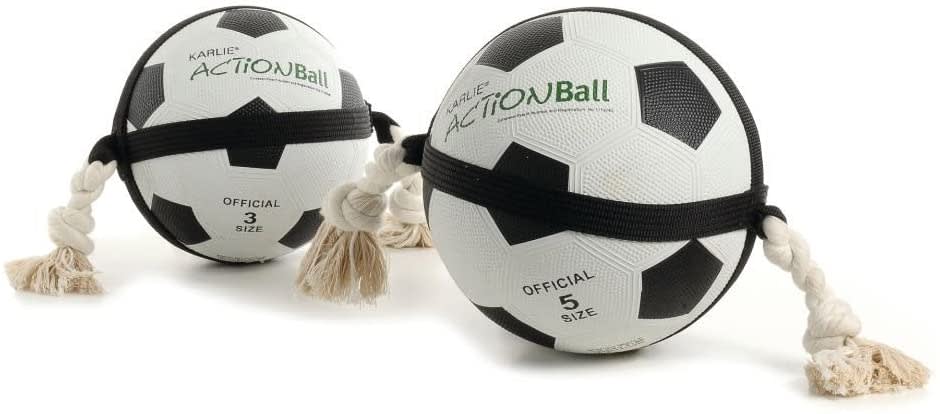 Actionball Dog Toy