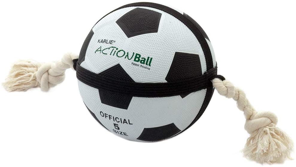 Actionball Dog Toy