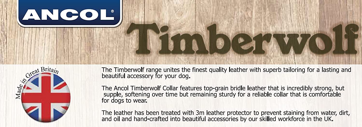 Timberwolf Leather Dog Collar - Sable Brown