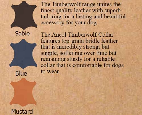 Timberwolf Leather Dog Collar - Sable Brown