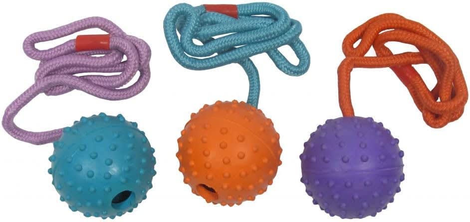 Rubber Ball On A Rope
