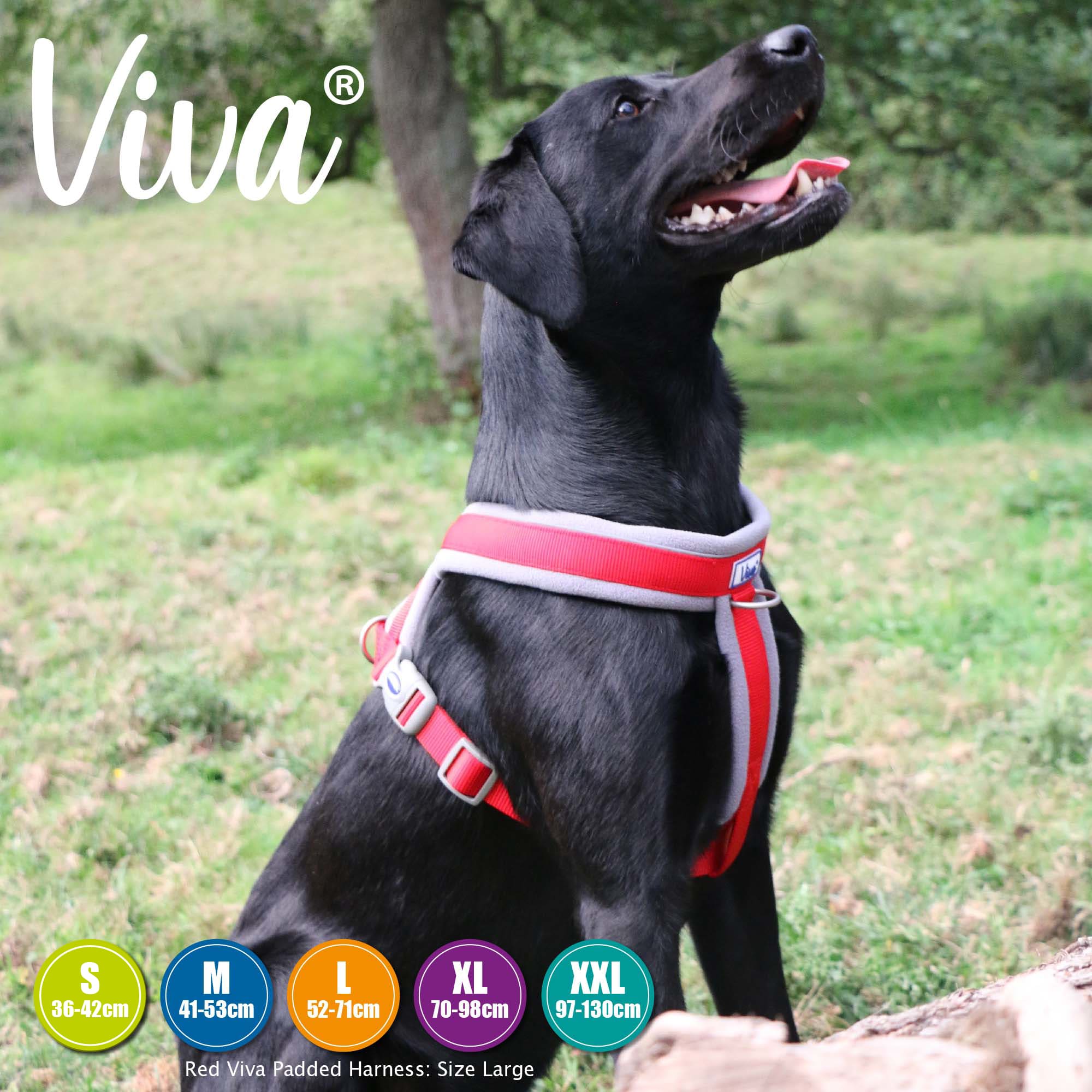 Padded Dog Harness - Red