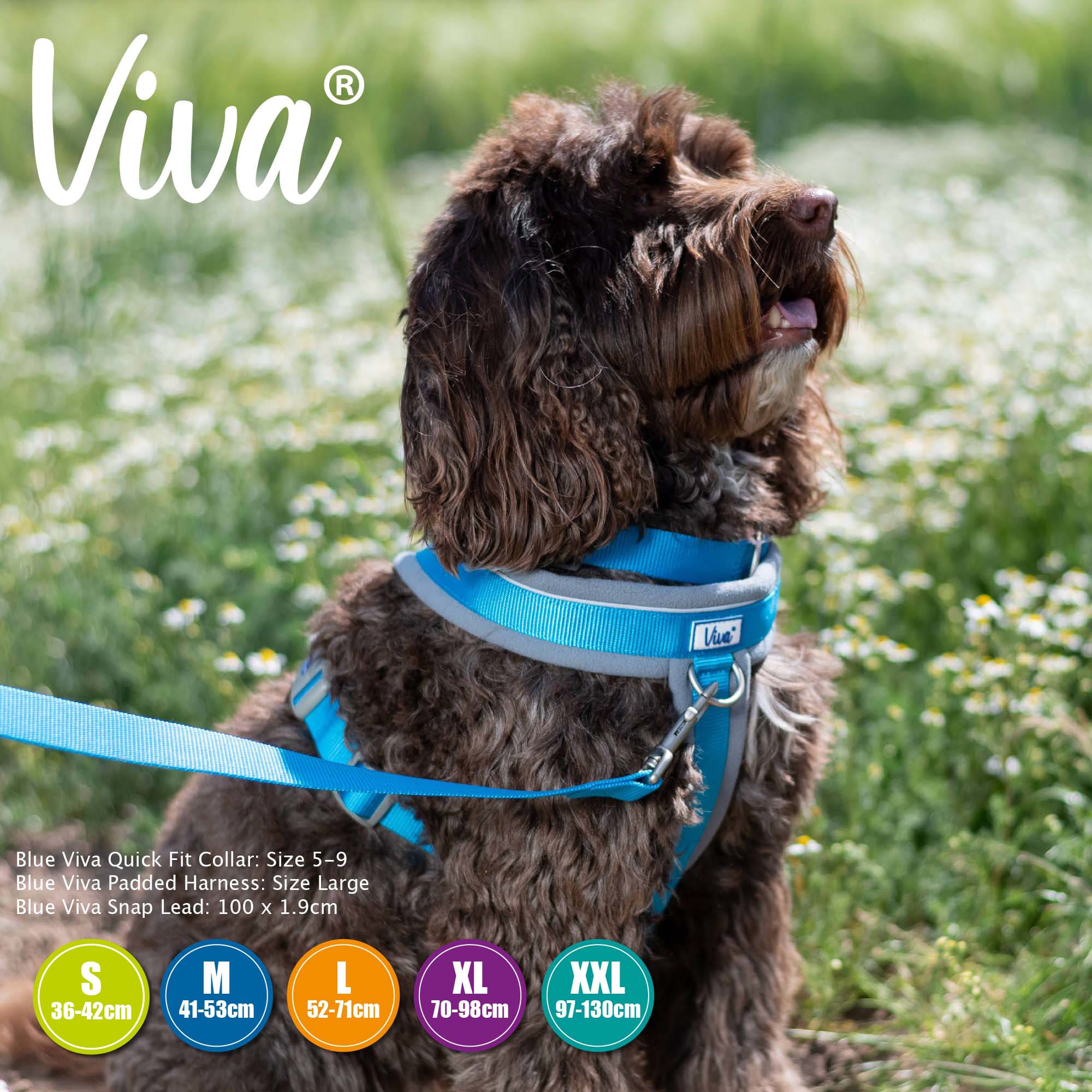 Padded Dog Harness - Blue