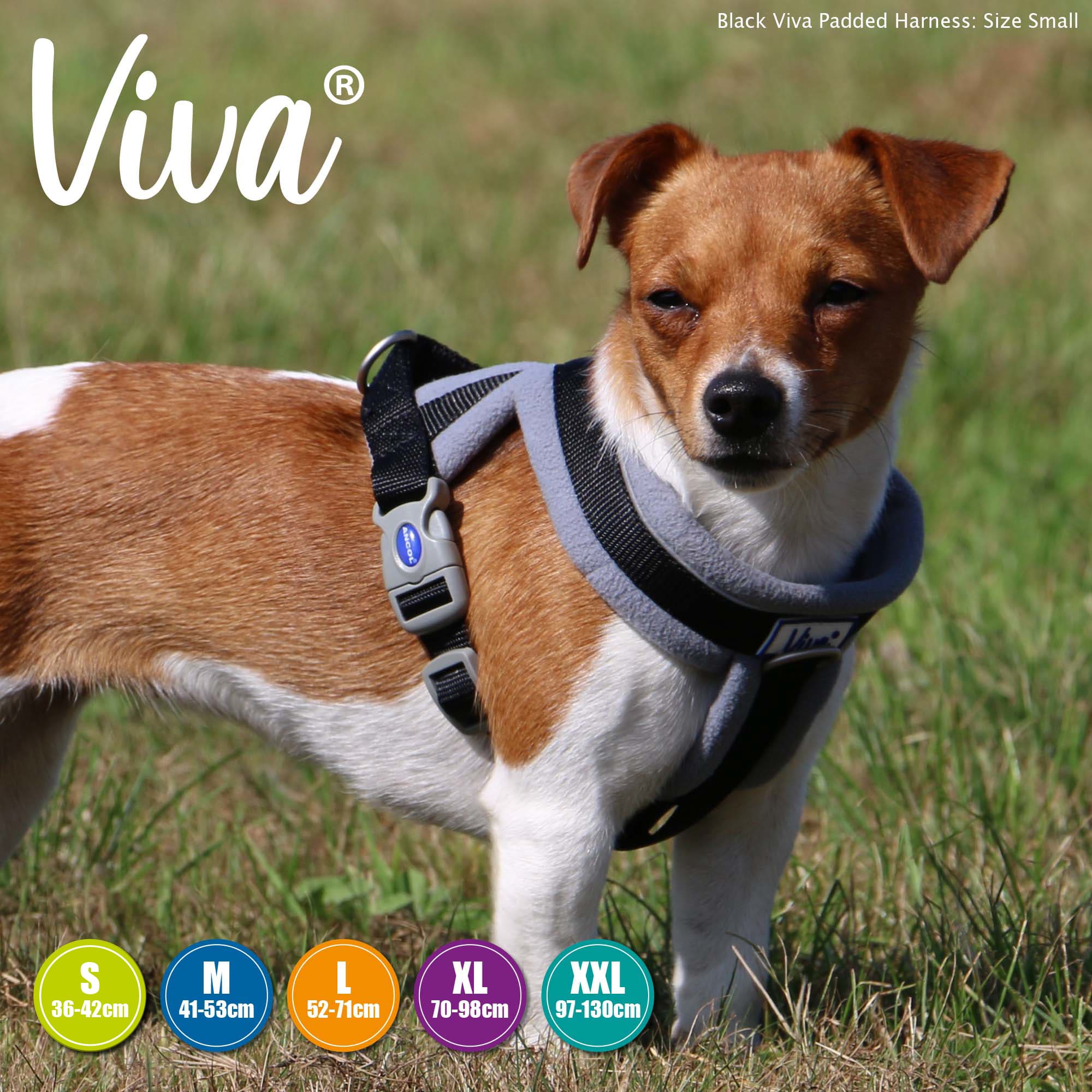 Padded Dog Harness - Black