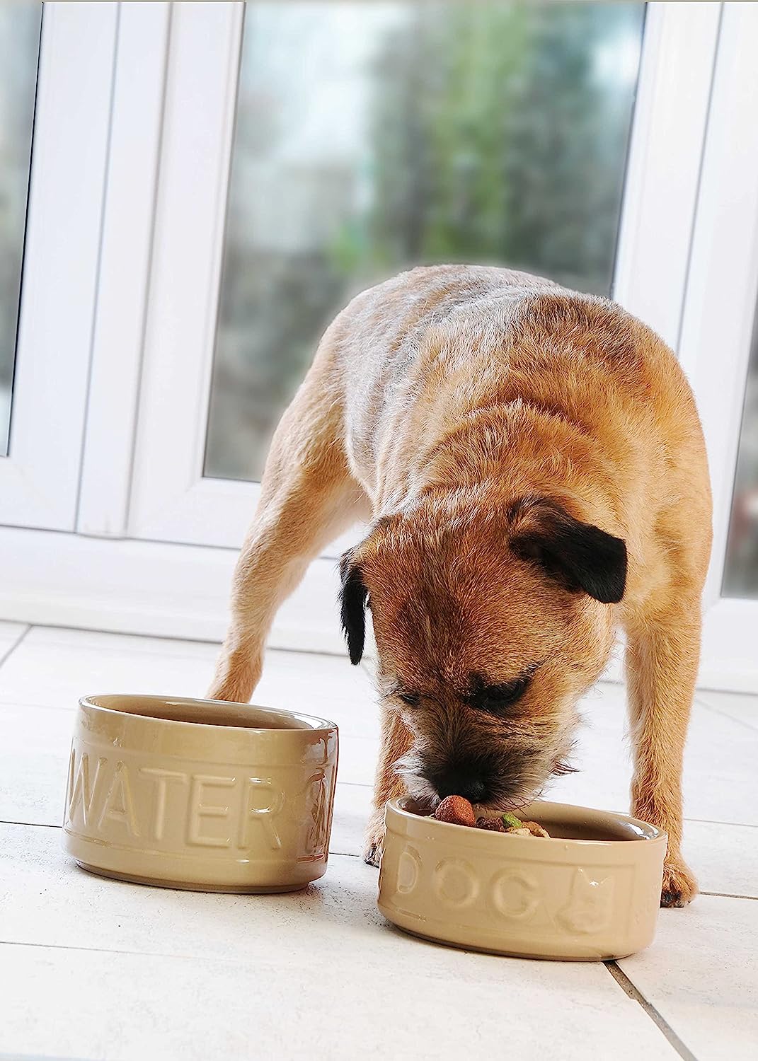 Stoneware Dog Bowl - Embossed DOG