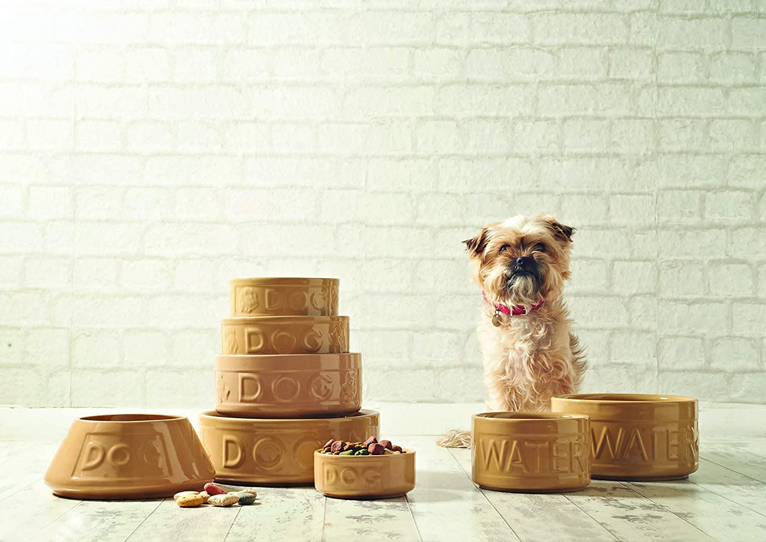 Stoneware Dog Bowl - Embossed DOG