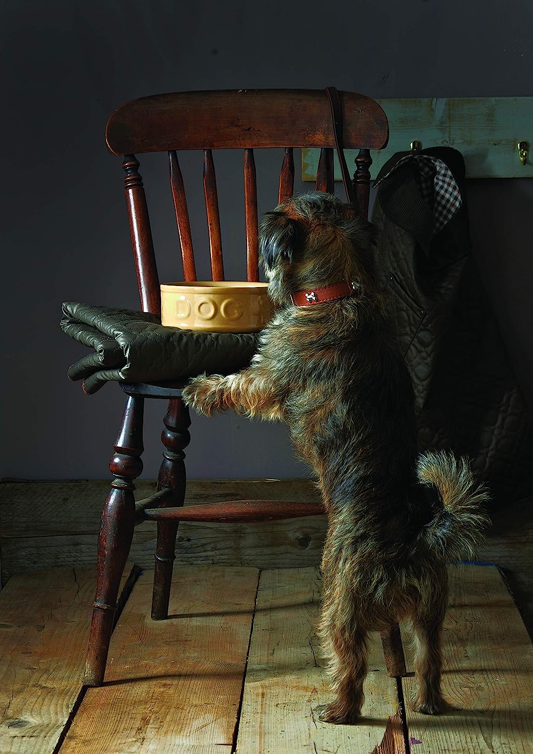 Stoneware Dog Bowl - Embossed DOG