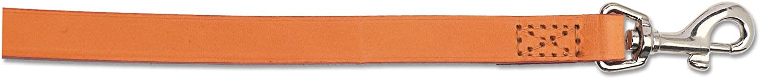 Leather Dog Lead - Brown Tan