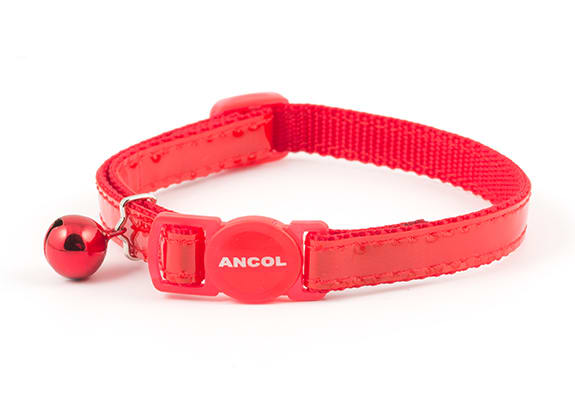 Gloss Red Cat Collar