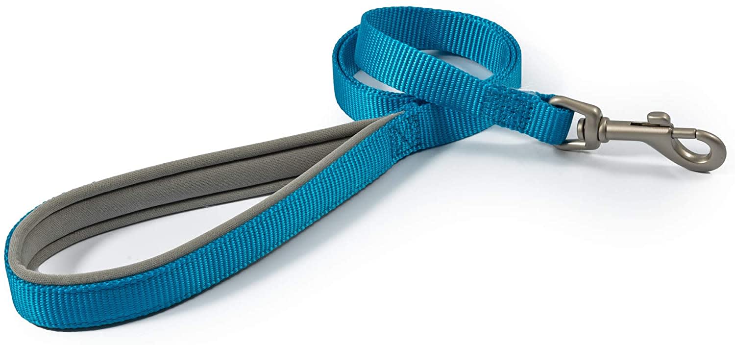 Padded Dog Lead - Blue