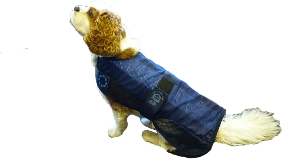 Cooling Dog Coat