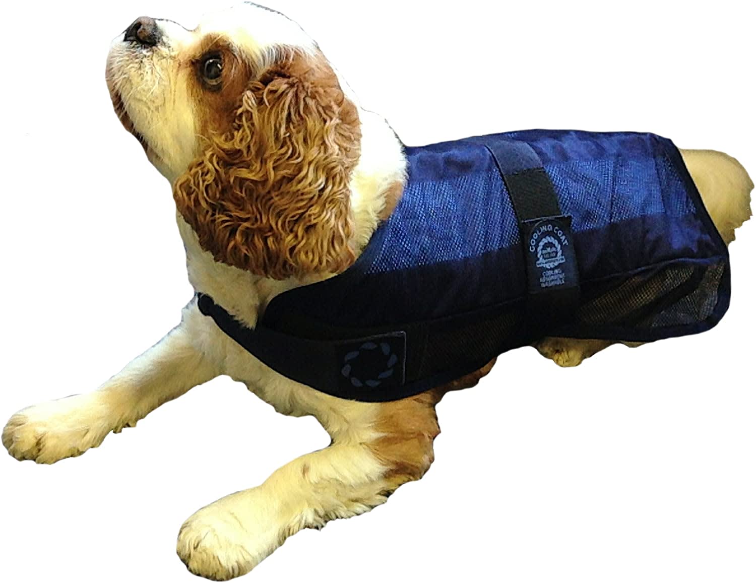 Cooling Dog Coat2