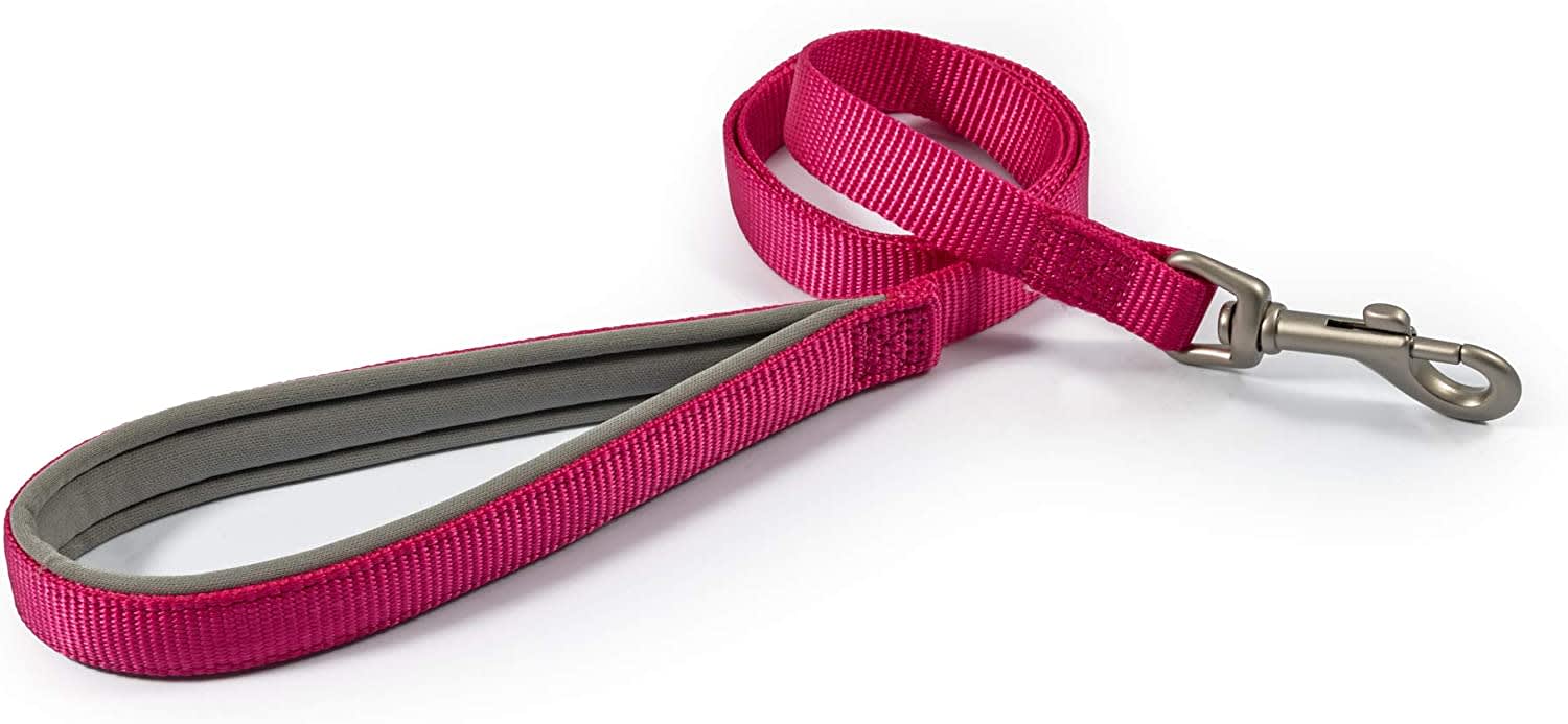 Padded Dog Lead - Pink Raspberry
