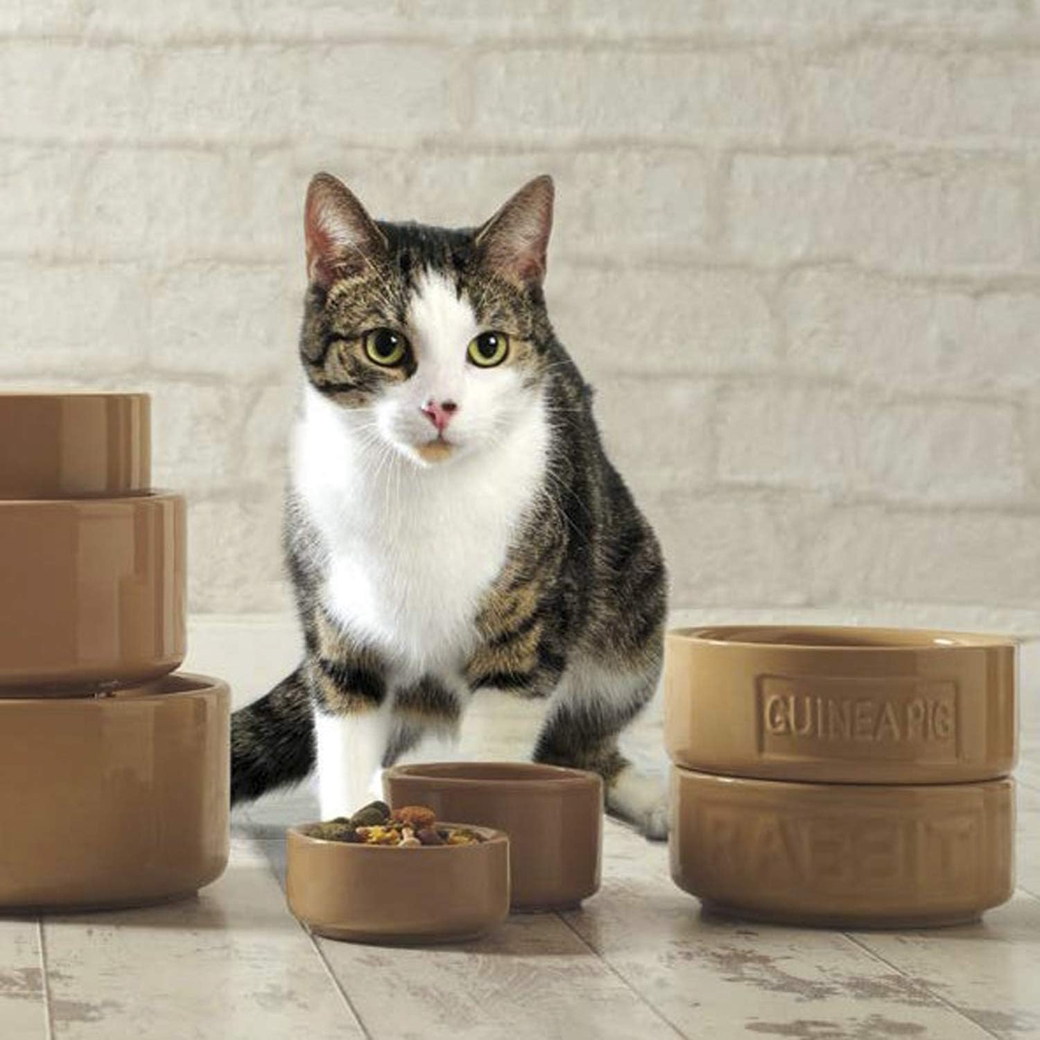 Stoneware Cat Saucer - Brown