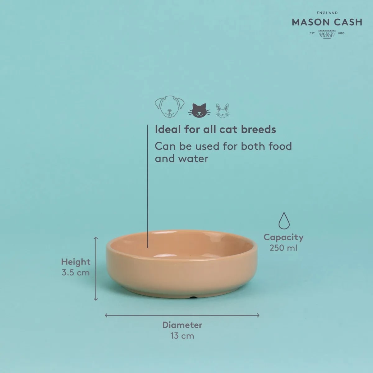 Stoneware Cat Saucer - Brown