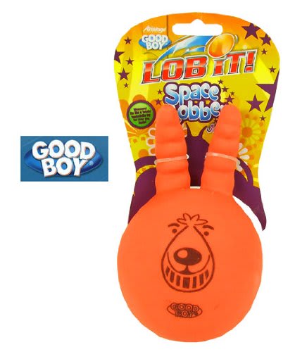 Space Lobber Dog Toy