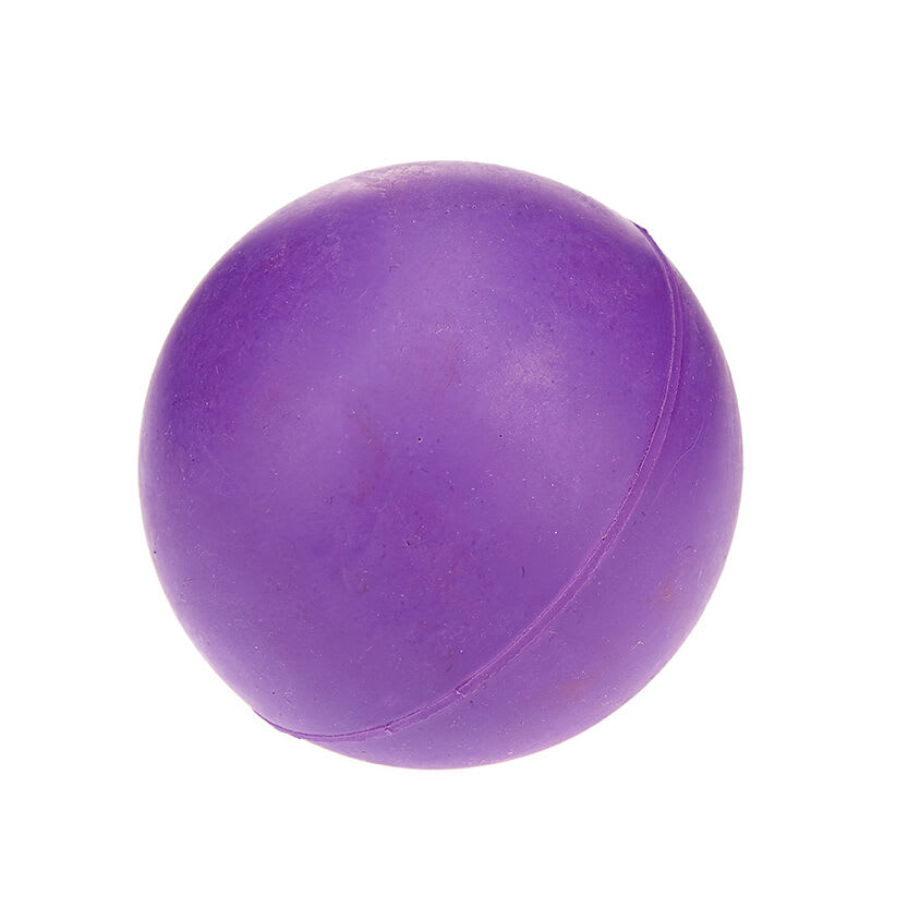 Solid Rubber Ball Dog Toy