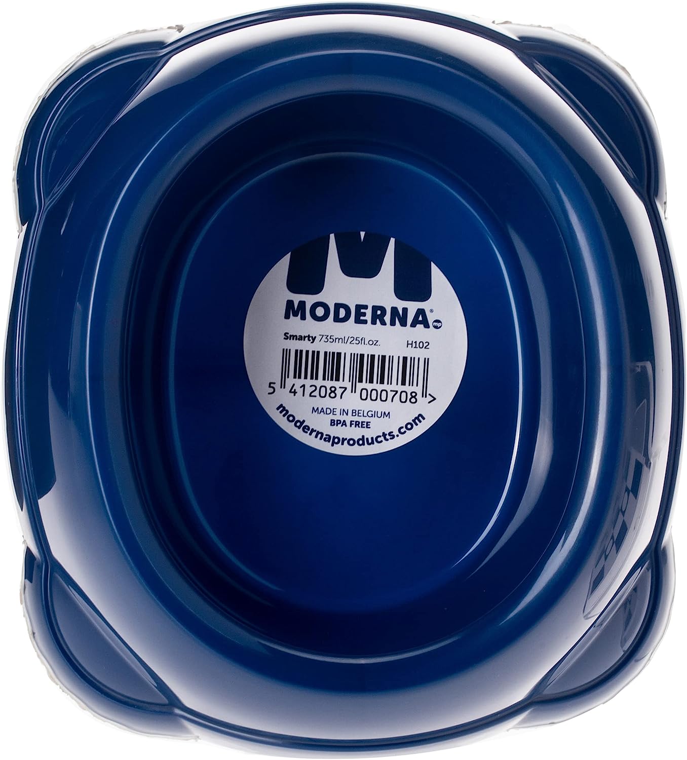 Smarty Dog Bowl - Blue Berry