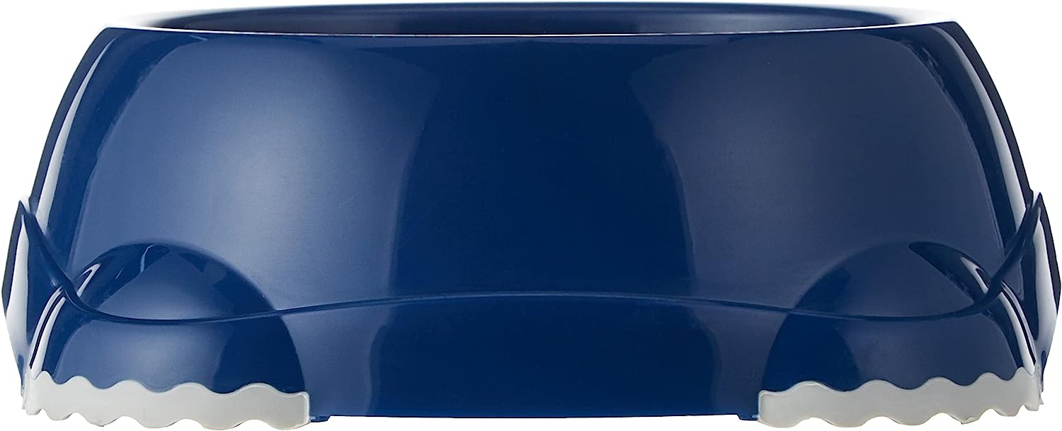 Smarty Dog Bowl - Blue Berry