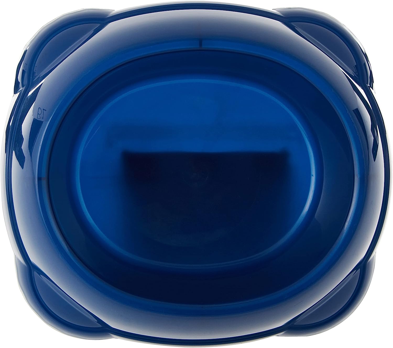 Smarty Dog Bowl - Blue Berry