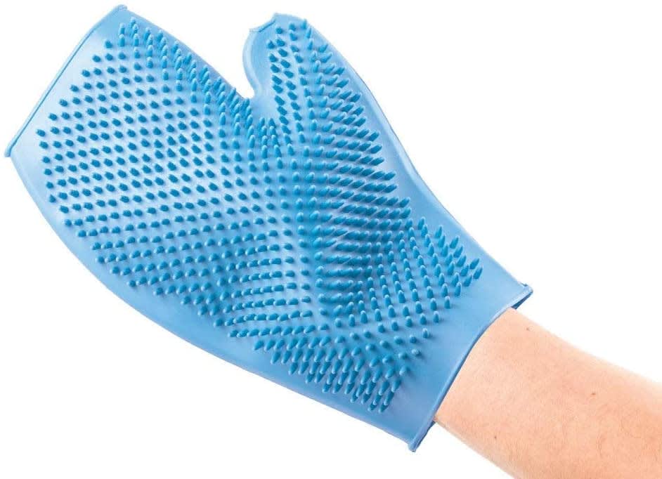 Grooming Glove - Blue