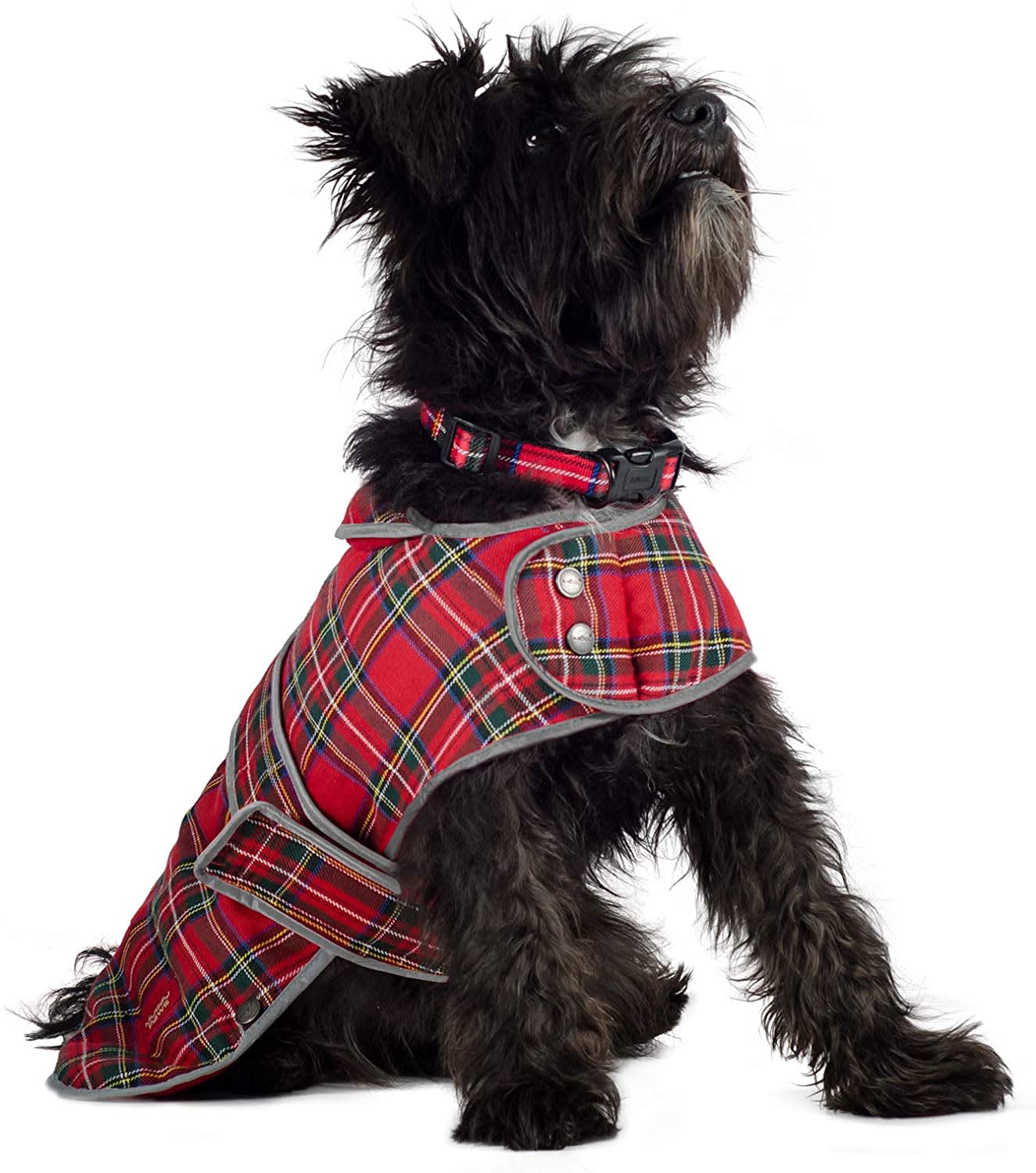 Tartan Red Dog Coat - Highland