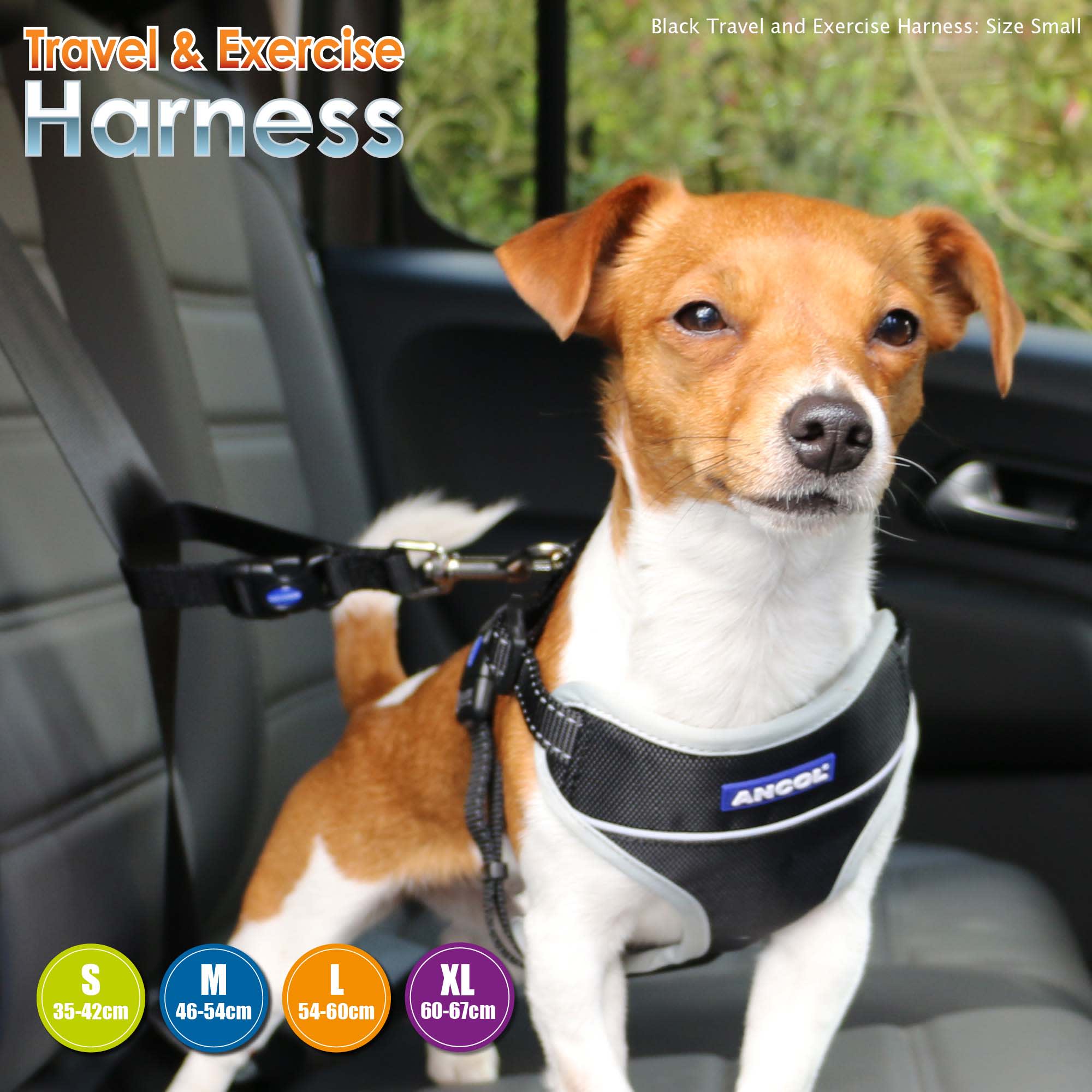 Dog Travel Harness - Black