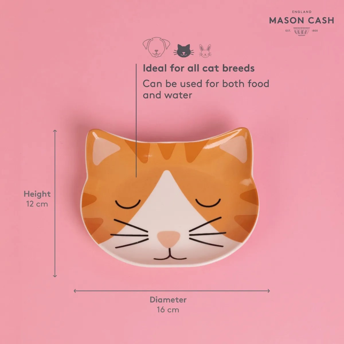 Stoneware Cat Bowl - Ginger Face