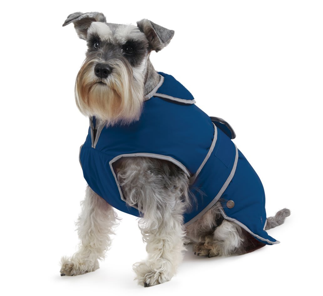 Stormguard Waterproof Dog Coat - Blue