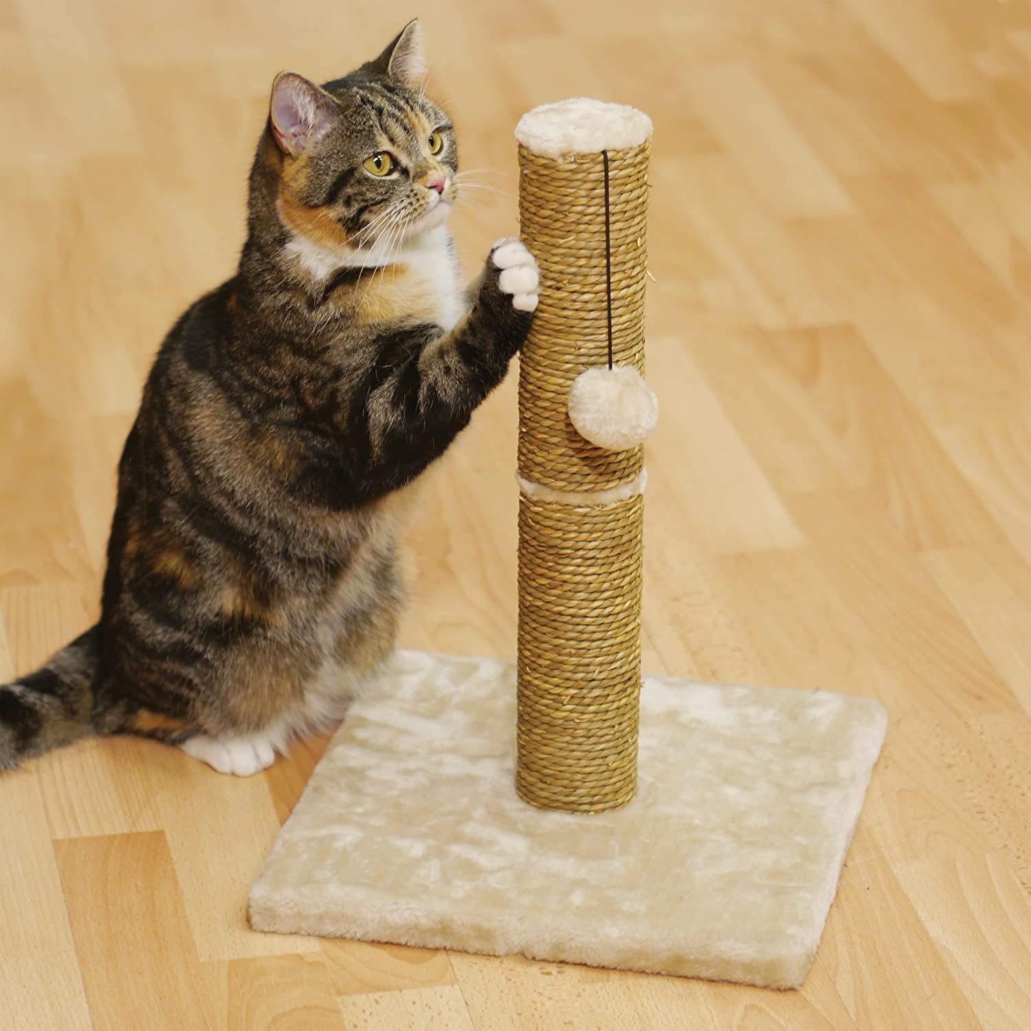 Seagrass Cat Scratch Post With Ball