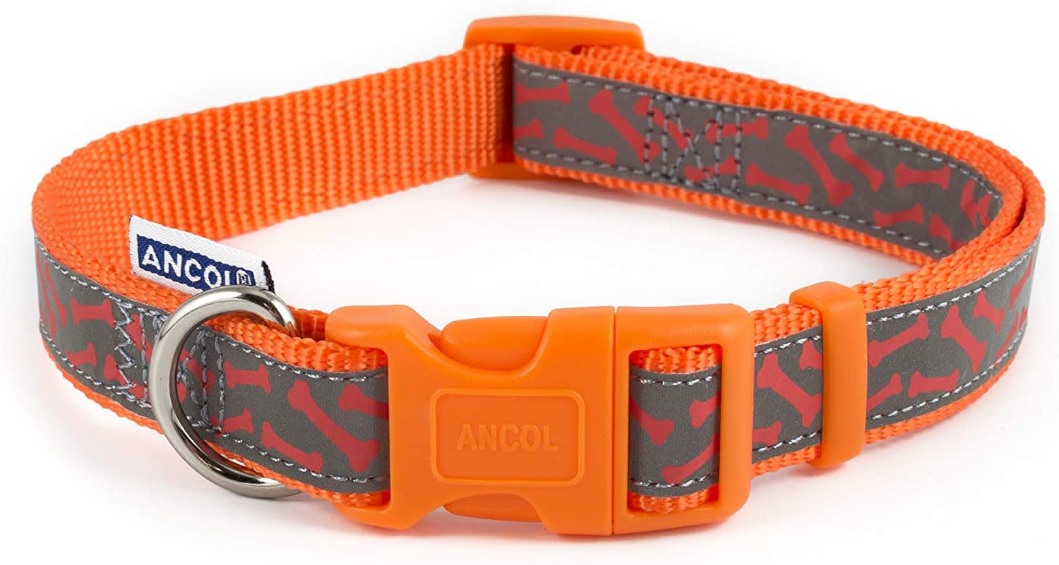 Reflective dog collar