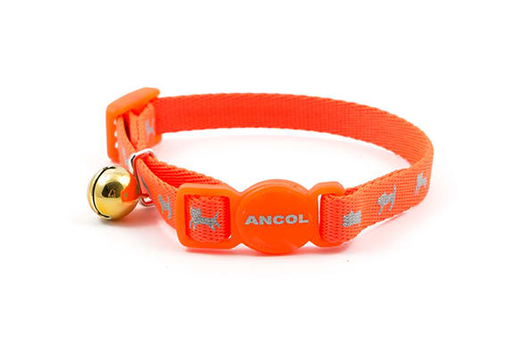 High Visibility Orange Kitten Collar