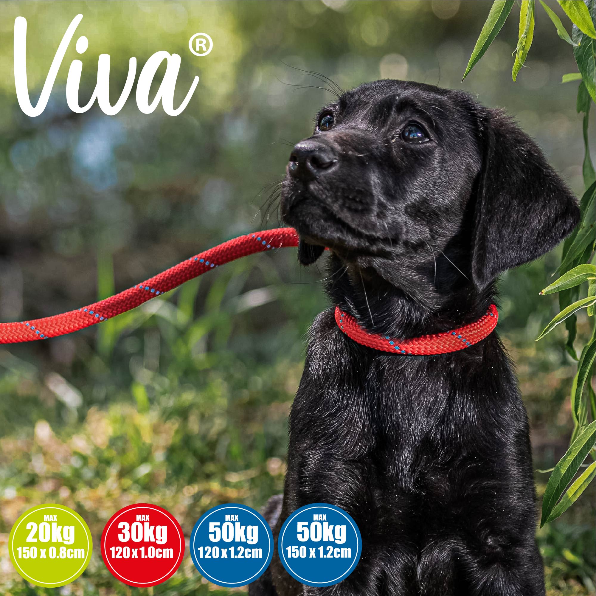 Ancol Reflective Slip Lead Red, 1X120CM