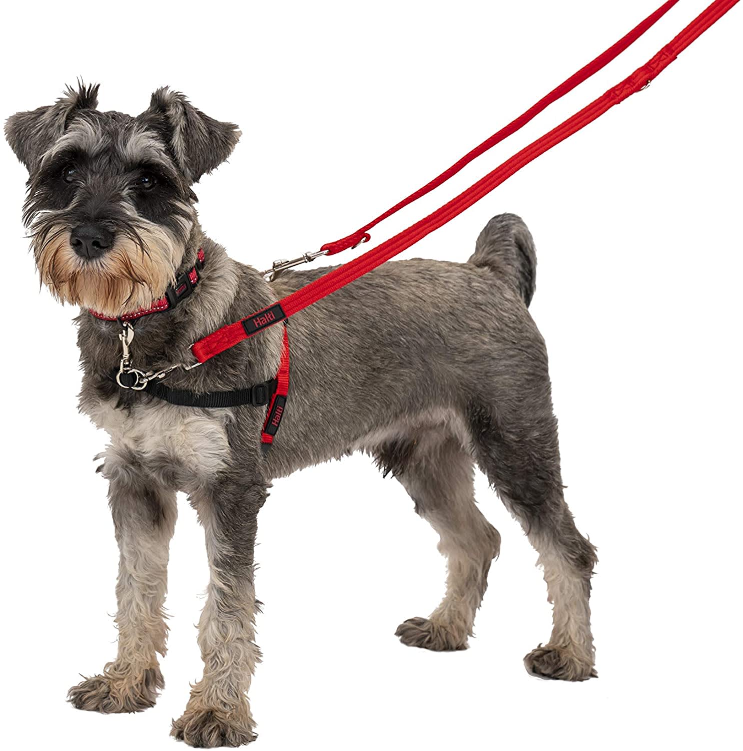 HALTI Dog Training Lead - Red